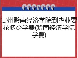 贵州黔南经济学院到毕业要花多少学费(黔南经济学院学费)