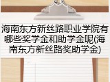 海南东方新丝路职业学院有哪些奖学金和助学金呢(海南东方新丝路奖助学金)
