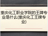 重庆化工职业学院的王牌专业是什么(重庆化工王牌专业)