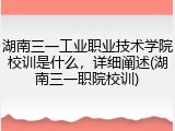 湖南三一工业职业技术学院校训是什么，详细阐述(湖南三一职院校训)