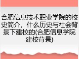 合肥信息技术职业学院的校史简介，什么历史与社会背景下建校的(合肥信息学院建校背景)