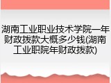 湖南工业职业技术学院一年财政拨款大概多少钱(湖南工业职院年财政拨款)