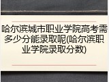 哈尔滨城市职业学院高考需多少分能录取呢(哈尔滨职业学院录取分数)