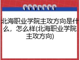 北海职业学院主攻方向是什么，怎么样(北海职业学院主攻方向)