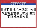 曲靖职业技术学院哪个专业毕业就业前景比较好(曲靖职院好就业专业)