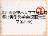 深圳职业技术大学共开设有哪些类型奖学金(深职大奖学金种类)