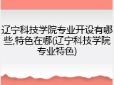 辽宁科技学院专业开设有哪些,特色在哪(辽宁科技学院专业特色)