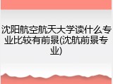 沈阳航空航天大学读什么专业比较有前景(沈航前景专业)