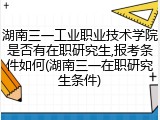 湖南三一工业职业技术学院是否有在职研究生,报考条件如何(湖南三一在职研究生条件)
