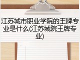 江苏城市职业学院的王牌专业是什么(江苏城院王牌专业)