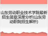 山东劳动职业技术学院最新招生简章深度分析(山东劳动职院招生解析)