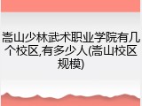 嵩山少林武术职业学院有几个校区,有多少人(嵩山校区规模)