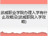 武威职业学院办理入学有什么攻略没(武威职院入学攻略)
