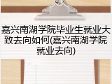 嘉兴南湖学院毕业生就业大致去向如何(嘉兴南湖学院就业去向)