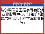 哈尔滨信息工程学院有没有就业指导中心，详细介绍(哈尔滨信息工程学院就业指导)