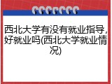 西北大学有没有就业指导，好就业吗(西北大学就业情况)