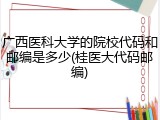 广西医科大学的院校代码和邮编是多少(桂医大代码邮编)
