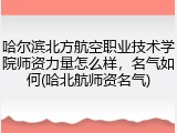 哈尔滨北方航空职业技术学院师资力量怎么样，名气如何(哈北航师资名气)