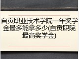 自贡职业技术学院一年奖学金最多能拿多少(自贡职院最高奖学金)