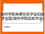 亳州学院有哪些奖学金和助学金呢(亳州学院奖助学金)