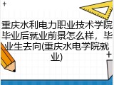 重庆水利电力职业技术学院毕业后就业前景怎么样，毕业生去向(重庆水电学院就业)
