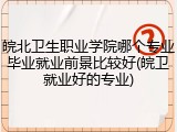 皖北卫生职业学院哪个专业毕业就业前景比较好(皖卫就业好的专业)
