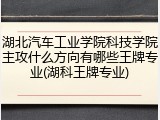 湖北汽车工业学院科技学院主攻什么方向有哪些王牌专业(湖科王牌专业)