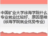 中国矿业大学徐海学院什么专业就业比较好，原因是啥(徐海学院就业优势专业)