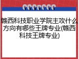 赣西科技职业学院主攻什么方向有哪些王牌专业(赣西科技王牌专业)