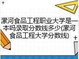 漯河食品工程职业大学是一本吗录取分数线多少(漯河食品工程大学分数线)