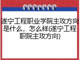 遂宁工程职业学院主攻方向是什么，怎么样(遂宁工程职院主攻方向)