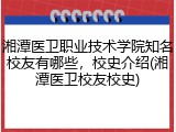 湘潭医卫职业技术学院知名校友有哪些，校史介绍(湘潭医卫校友校史)