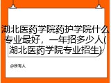 湖北医药学院药护学院什么专业最好，一年招多少人(湖北医药学院专业招生)