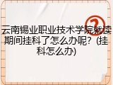 云南锡业职业技术学院就读期间挂科了怎么办呢？(挂科怎么办)