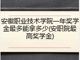 安徽职业技术学院一年奖学金最多能拿多少(安职院最高奖学金)