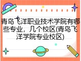 青岛飞洋职业技术学院有哪些专业，几个校区(青岛飞洋学院专业校区)