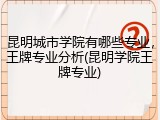 昆明城市学院有哪些专业，王牌专业分析(昆明学院王牌专业)