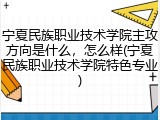 宁夏民族职业技术学院主攻方向是什么，怎么样(宁夏民族职业技术学院特色专业)