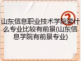 山东信息职业技术学院读什么专业比较有前景(山东信息学院有前景专业)