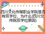 四川文化传媒职业学院是否有双学位，为什么(四川文传院双学位原因)