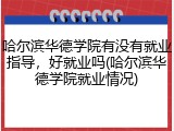 哈尔滨华德学院有没有就业指导，好就业吗(哈尔滨华德学院就业情况)