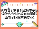 陕西电子信息职业技术学院读什么专业比较有前景(陕西电子职院前景专业)