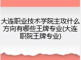 大连职业技术学院主攻什么方向有哪些王牌专业(大连职院王牌专业)
