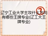 辽宁工业大学主攻什么方向有哪些王牌专业(辽工大王牌专业)