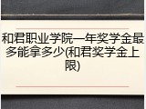和君职业学院一年奖学金最多能拿多少(和君奖学金上限)