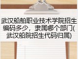 武汉船舶职业技术学院招生编码多少，隶属哪个部门(武汉船院招生代码归属)