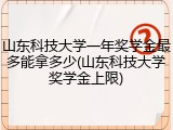 山东科技大学一年奖学金最多能拿多少(山东科技大学奖学金上限)