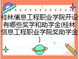 桂林信息工程职业学院开设有哪些奖学和助学金(桂林信息工程职业学院奖助学金)