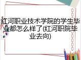 红河职业技术学院的学生毕业都怎么样了(红河职院毕业去向)