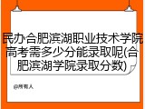 民办合肥滨湖职业技术学院高考需多少分能录取呢(合肥滨湖学院录取分数)